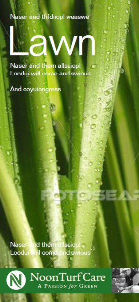 4-lawn-turf-care